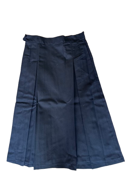 Elegant Skirt